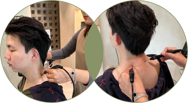 shoulder_meridian